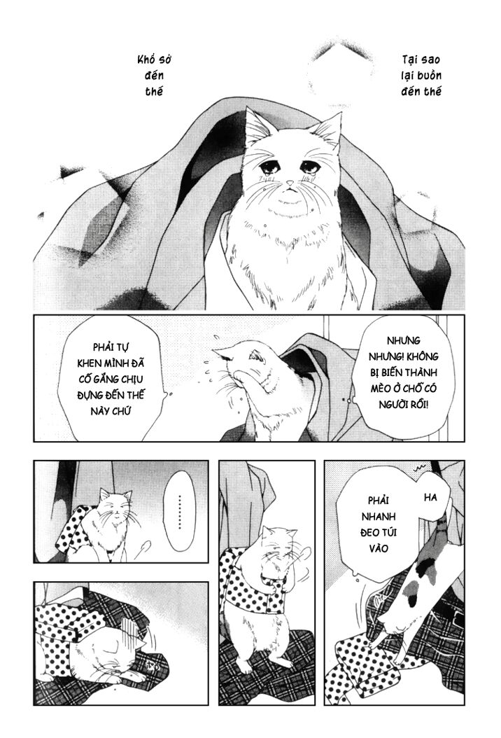 Neko Neko Honey: Chapter 2