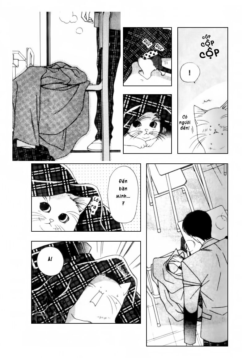 Neko Neko Honey: Chapter 2