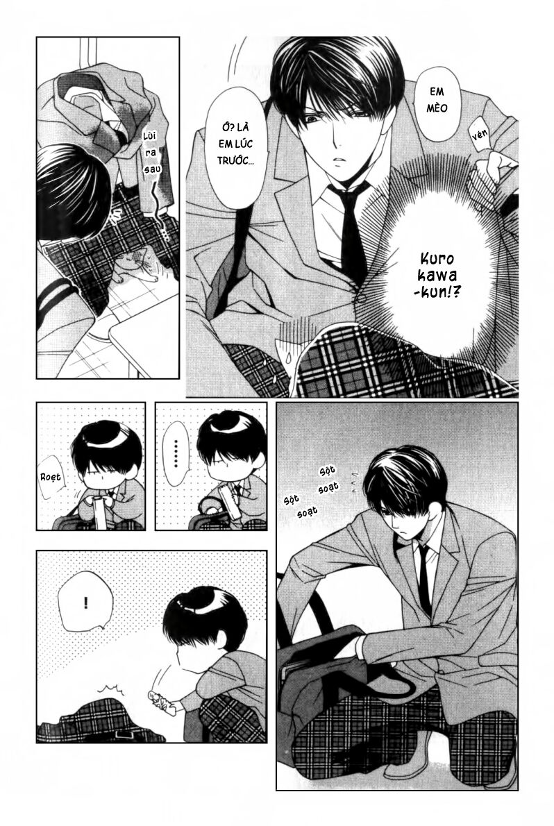 Neko Neko Honey: Chapter 2