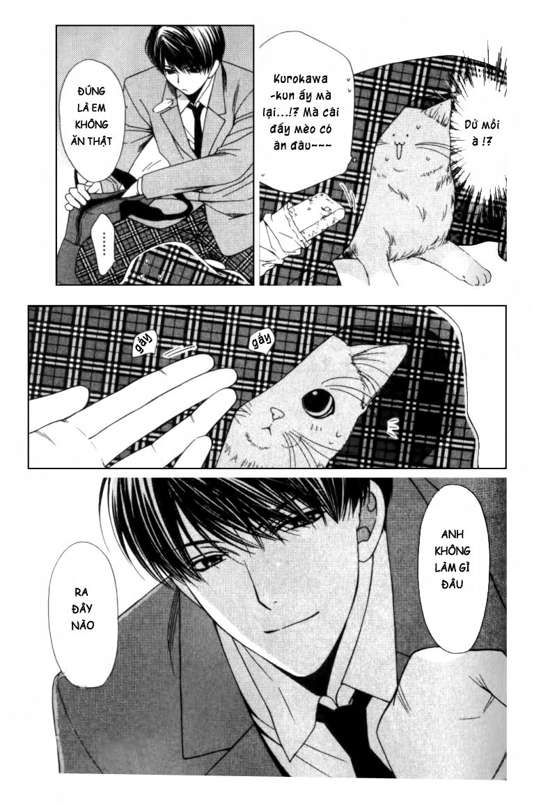 Neko Neko Honey: Chapter 2