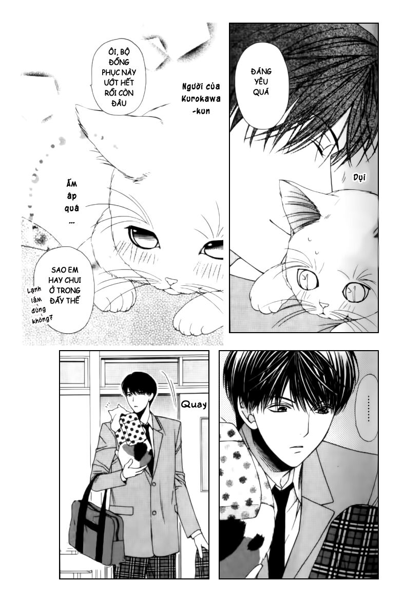 Neko Neko Honey: Chapter 2
