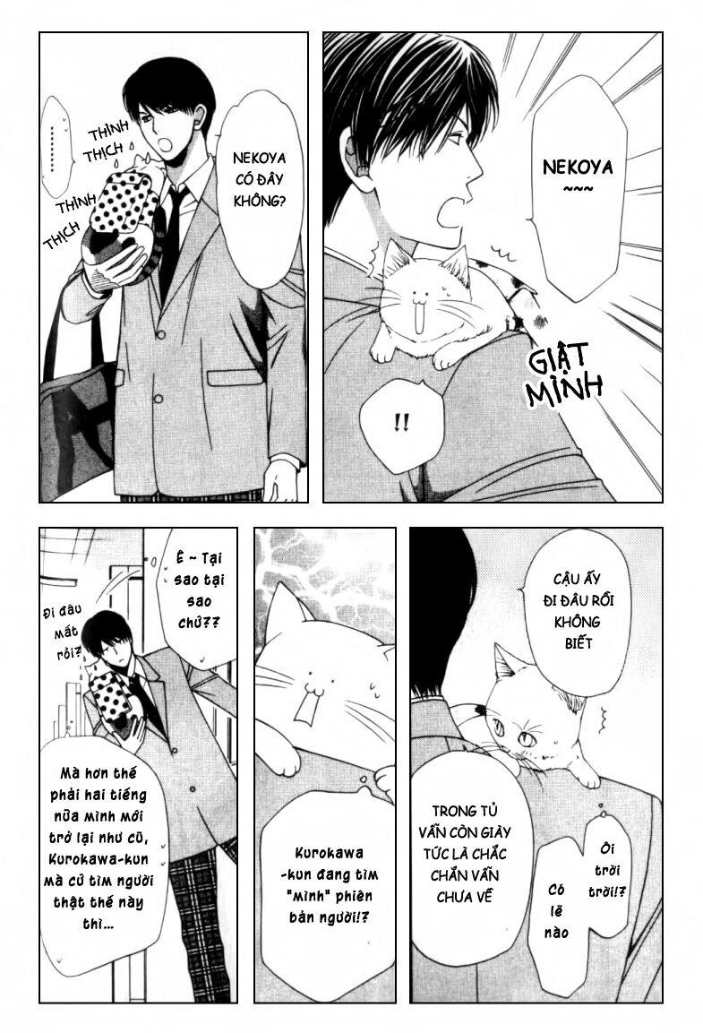 Neko Neko Honey: Chapter 2