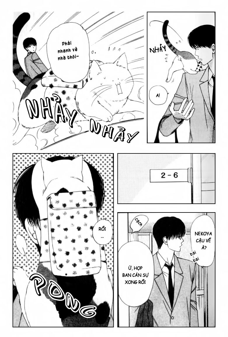 Neko Neko Honey: Chapter 2