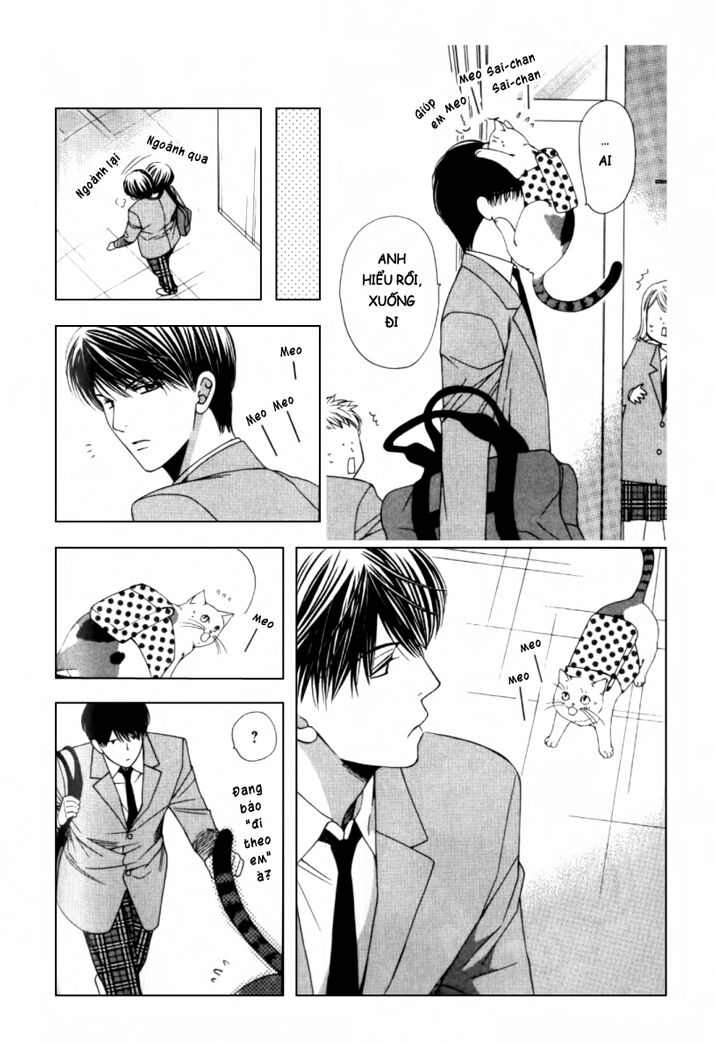 Neko Neko Honey: Chapter 2