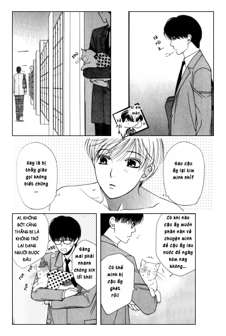 Neko Neko Honey: Chapter 2