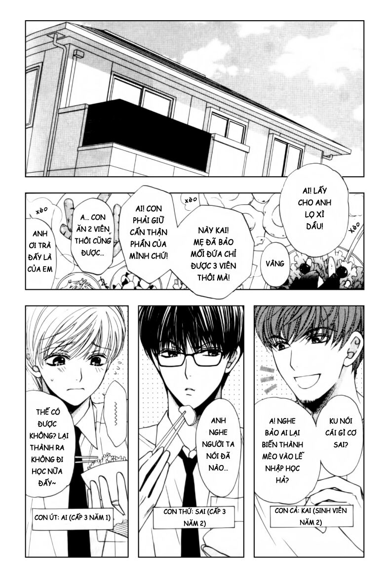 Neko Neko Honey: Chapter 2