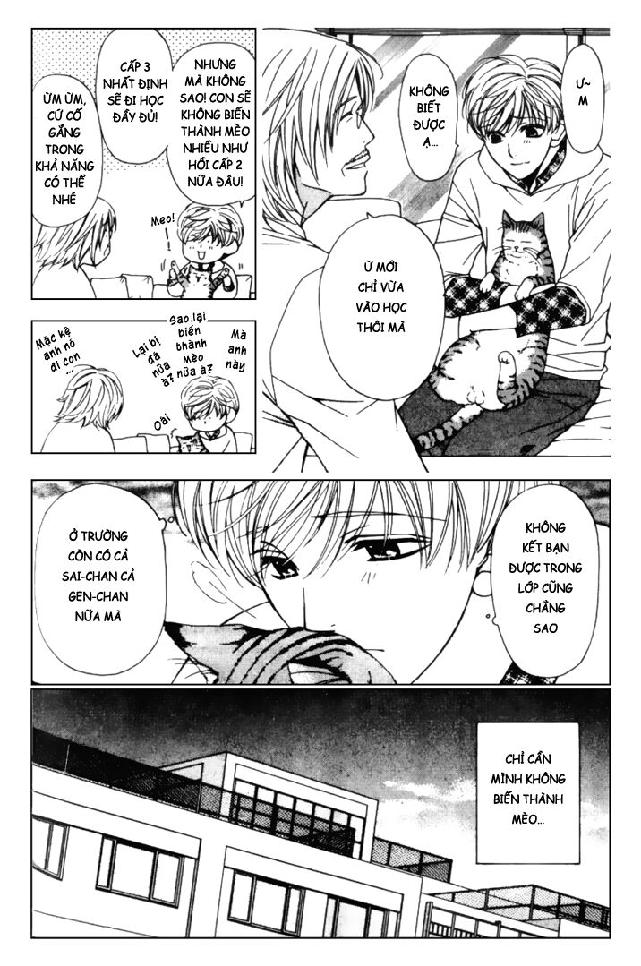 Neko Neko Honey: Chapter 2