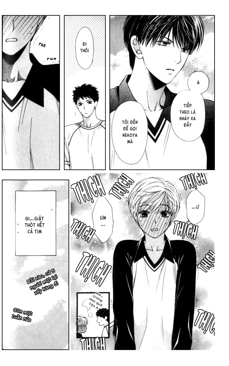 Neko Neko Honey: Chapter 3
