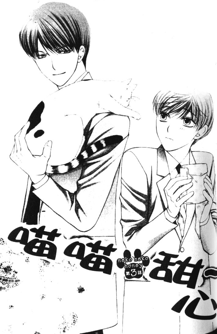 Neko Neko Honey: Chapter 3