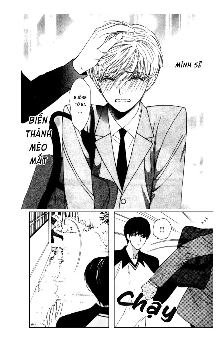 Neko Neko Honey: Chapter 3