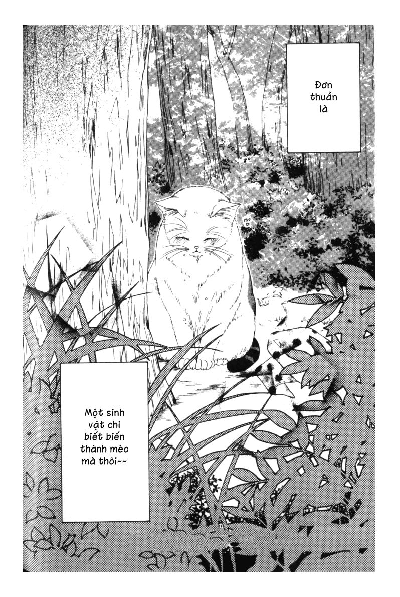 Neko Neko Honey: Chapter 3