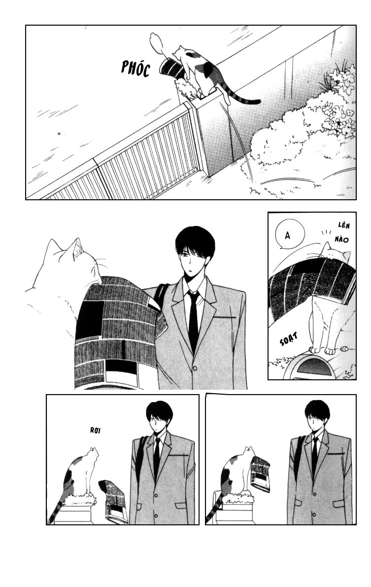 Neko Neko Honey: Chapter 4