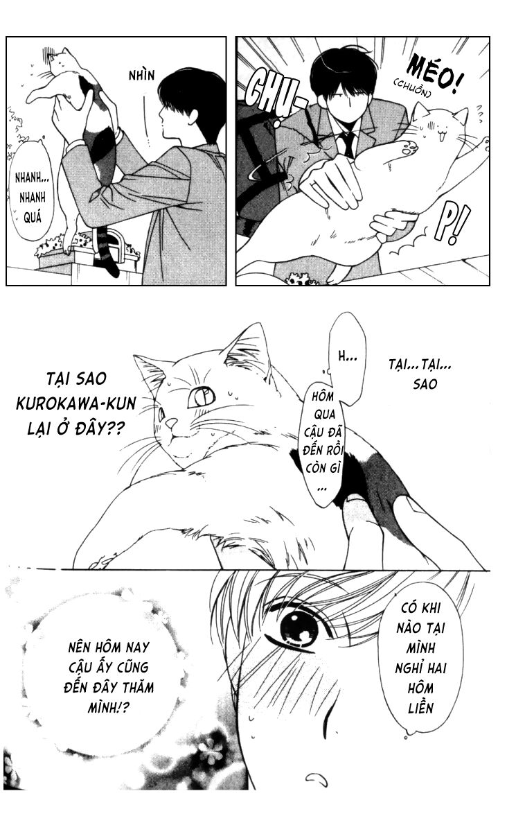 Neko Neko Honey: Chapter 4