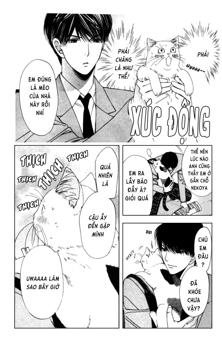 Neko Neko Honey: Chapter 4