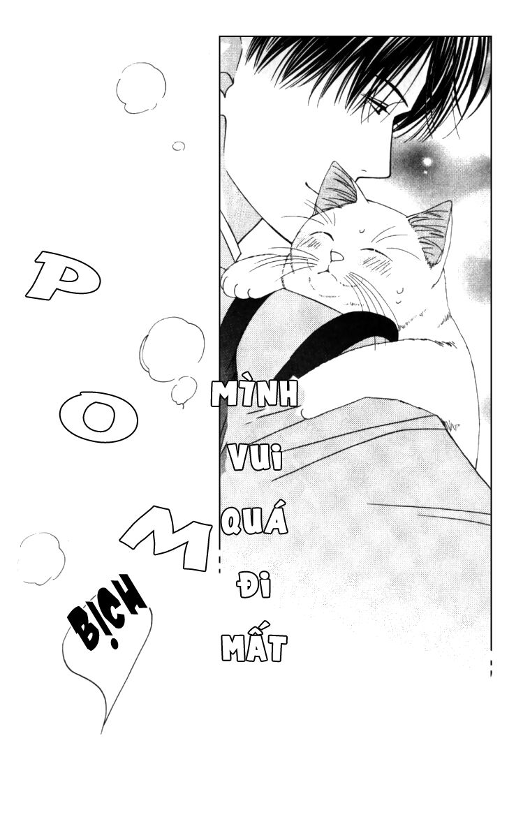 Neko Neko Honey: Chapter 4