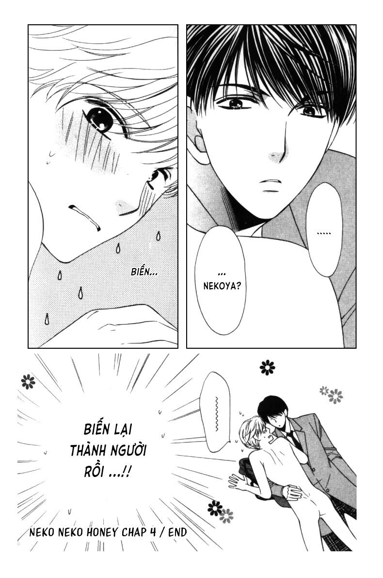 Neko Neko Honey: Chapter 4