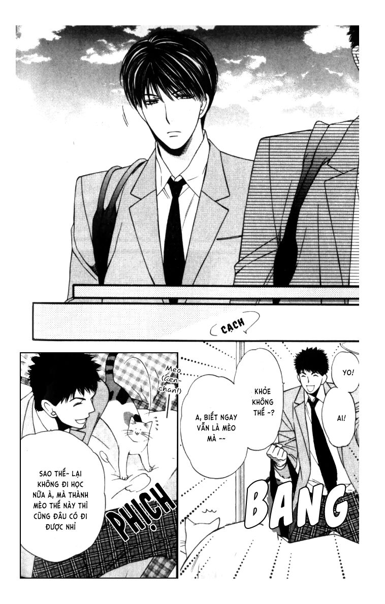 Neko Neko Honey: Chapter 4