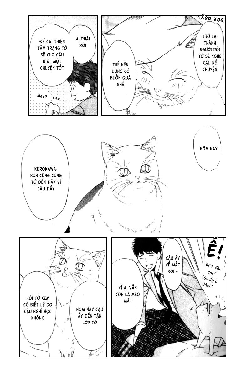 Neko Neko Honey: Chapter 4