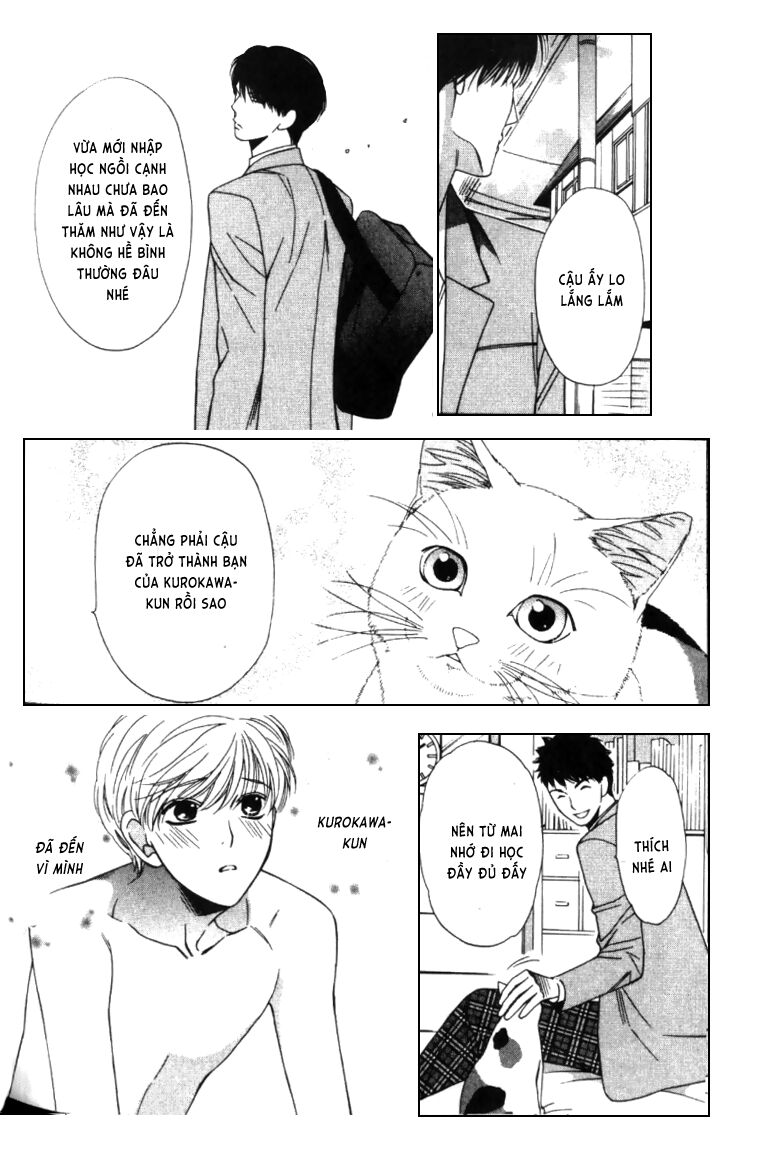 Neko Neko Honey: Chapter 4
