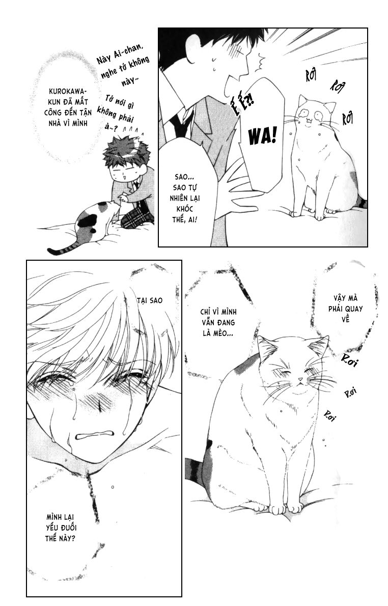 Neko Neko Honey: Chapter 4