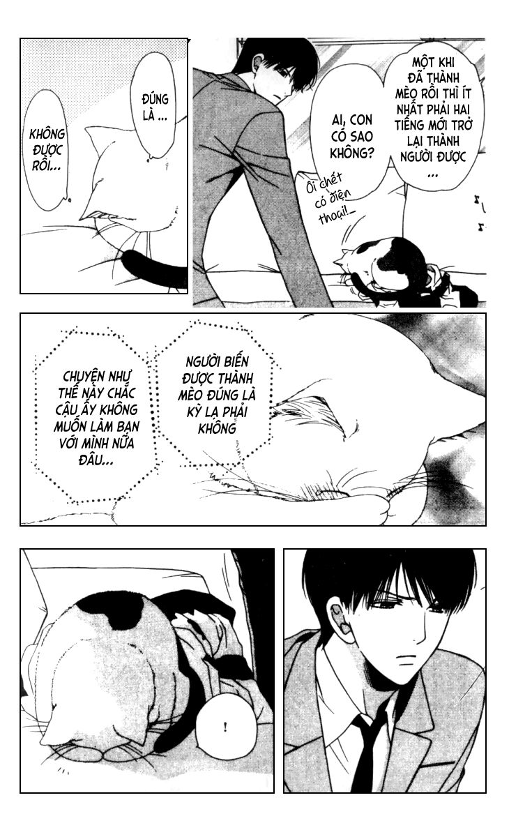 Neko Neko Honey: Chapter 5