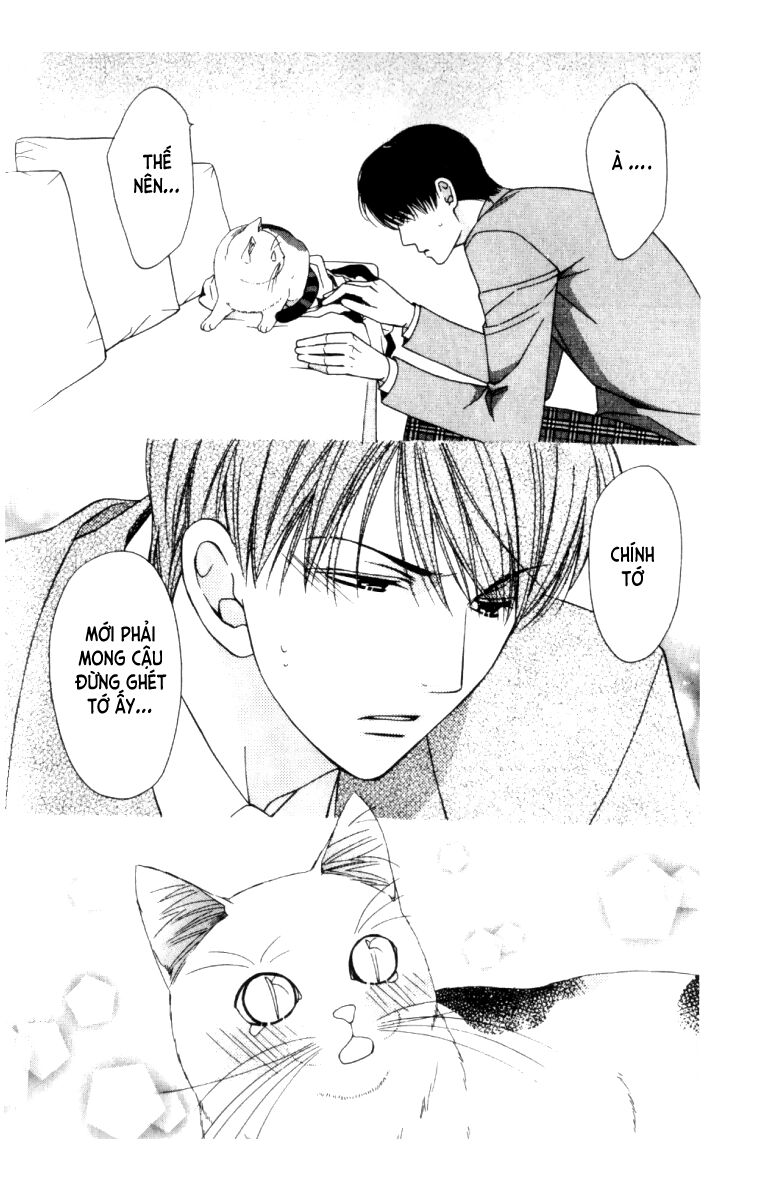Neko Neko Honey: Chapter 5