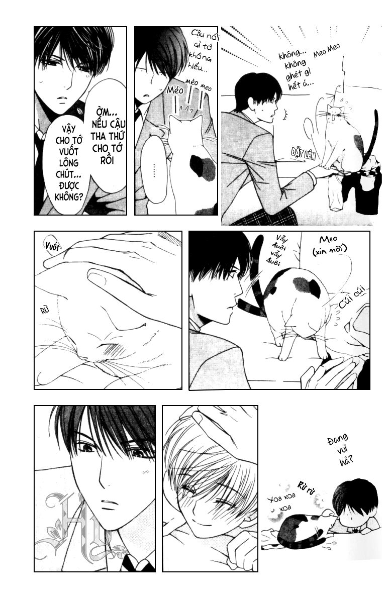 Neko Neko Honey: Chapter 5