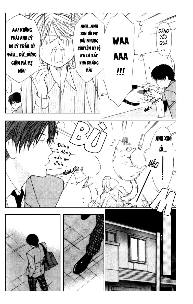 Neko Neko Honey: Chapter 5