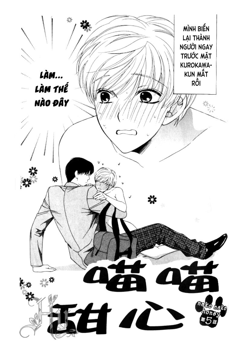 Neko Neko Honey: Chapter 5