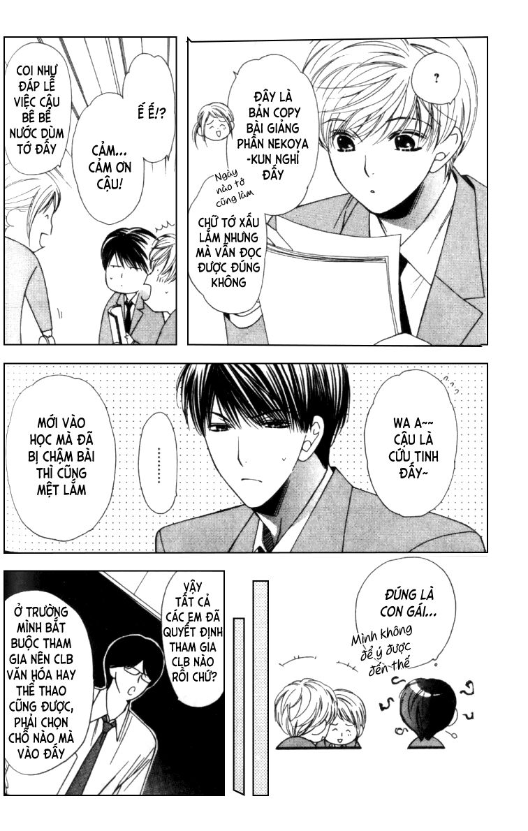 Neko Neko Honey: Chapter 5