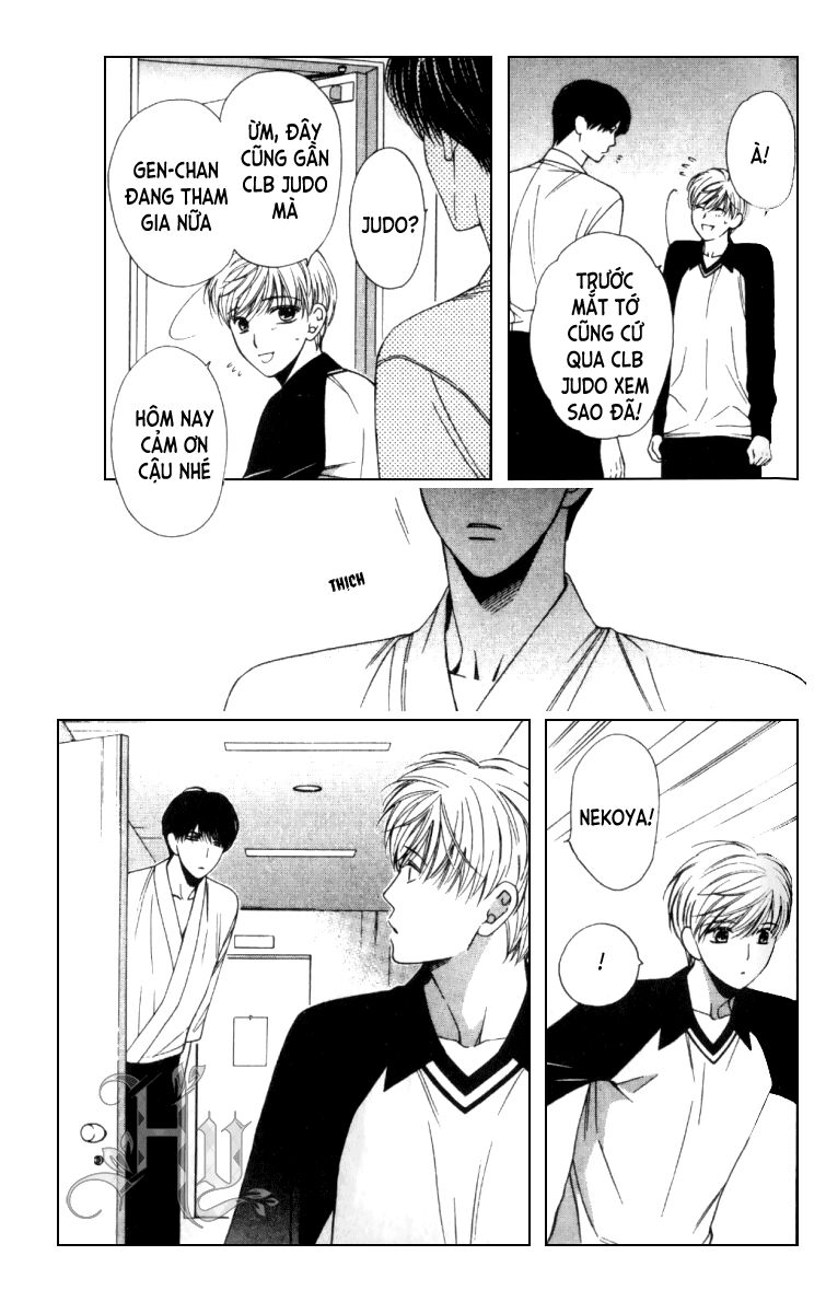 Neko Neko Honey: Chapter 5