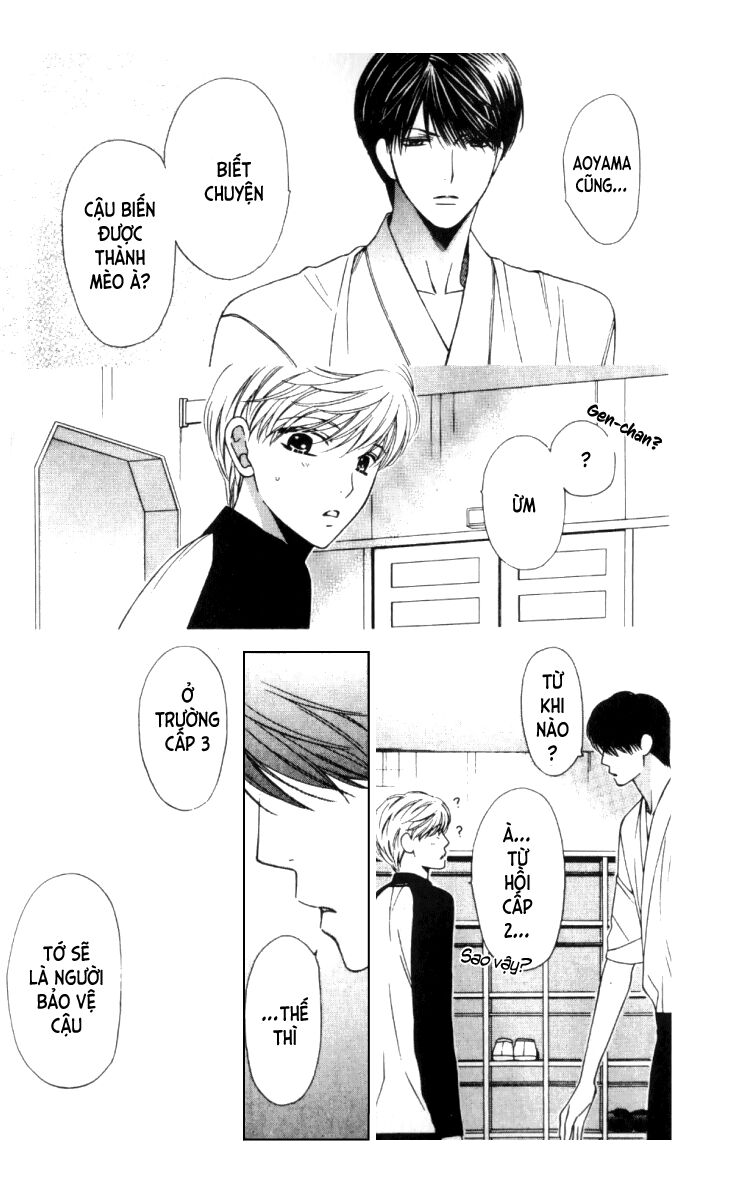 Neko Neko Honey: Chapter 5