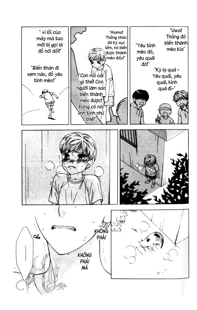 Neko Neko Honey: Chapter 5