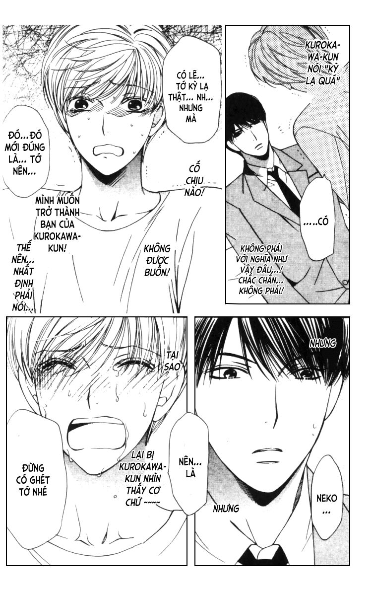 Neko Neko Honey: Chapter 5