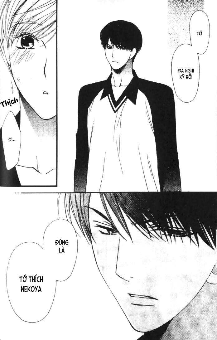 Neko Neko Honey: Chapter 6