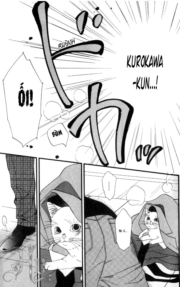Neko Neko Honey: Chapter 6