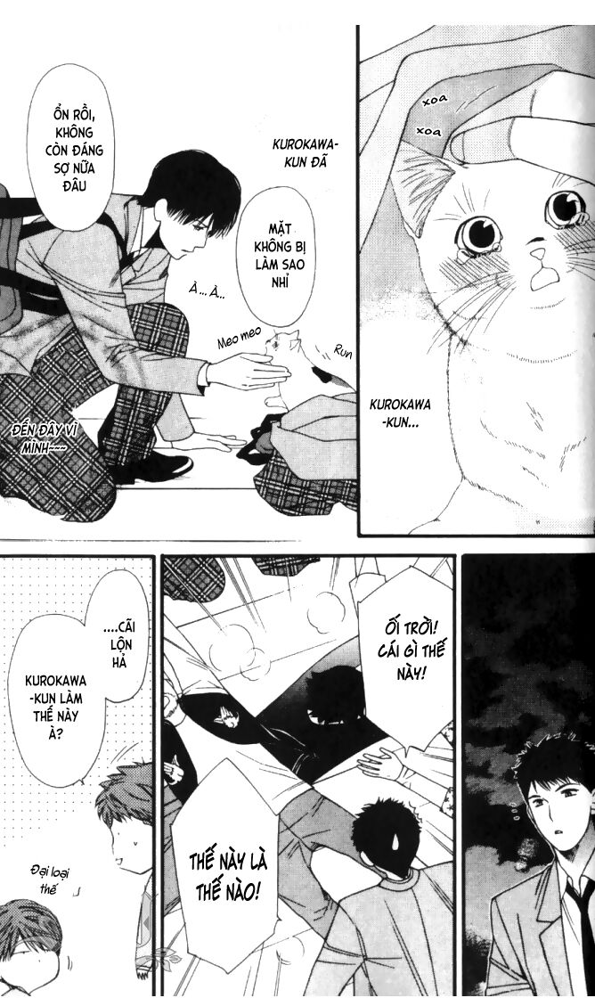 Neko Neko Honey: Chapter 6