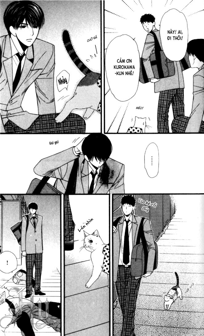 Neko Neko Honey: Chapter 6