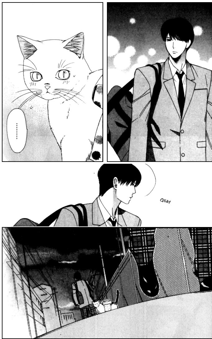 Neko Neko Honey: Chapter 6