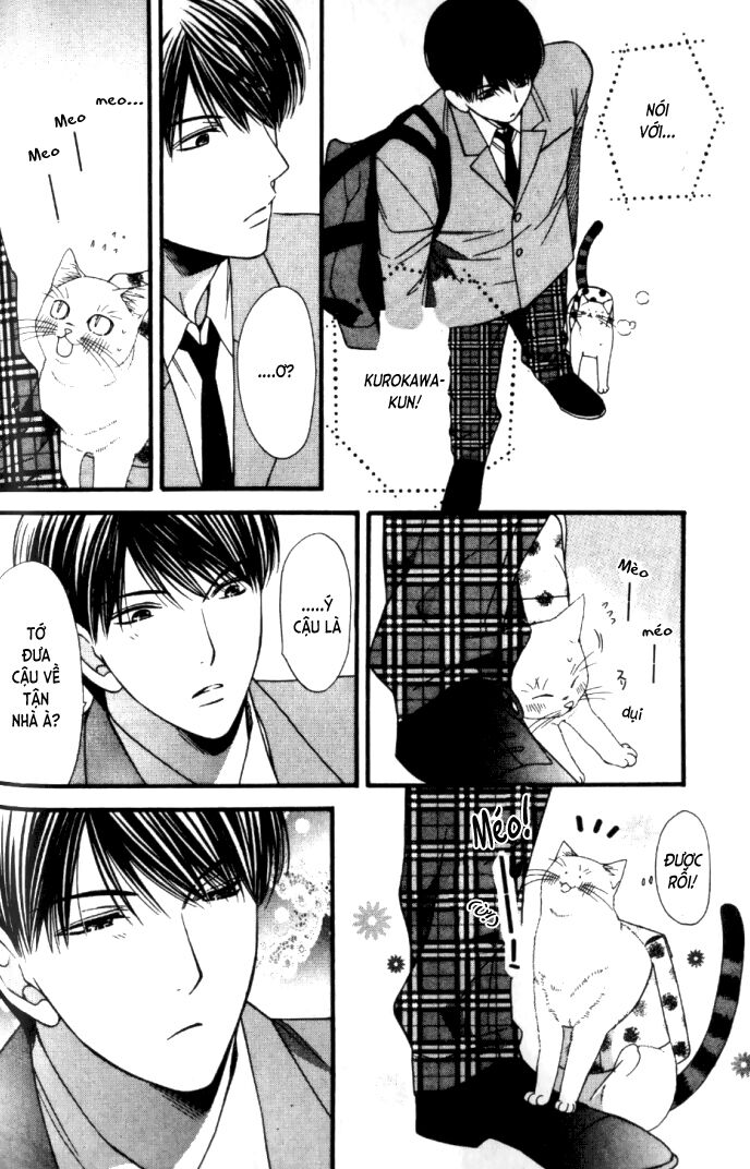 Neko Neko Honey: Chapter 6