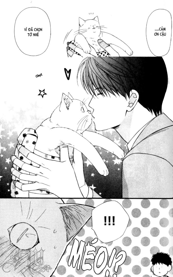 Neko Neko Honey: Chapter 6