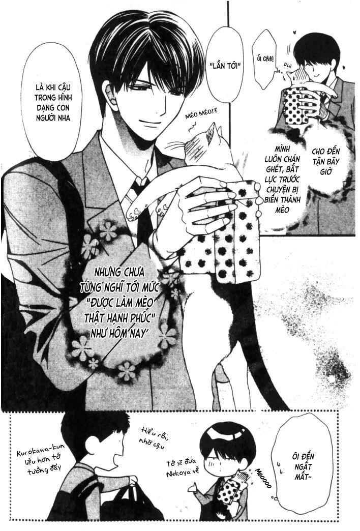 Neko Neko Honey: Chapter 6