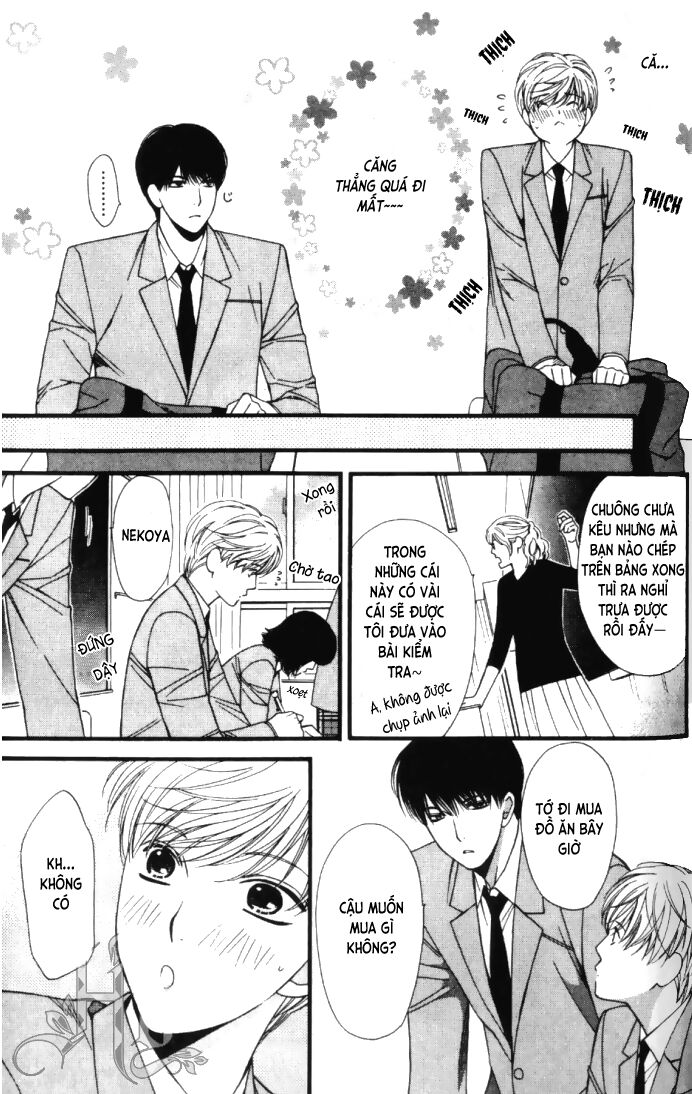 Neko Neko Honey: Chapter 6