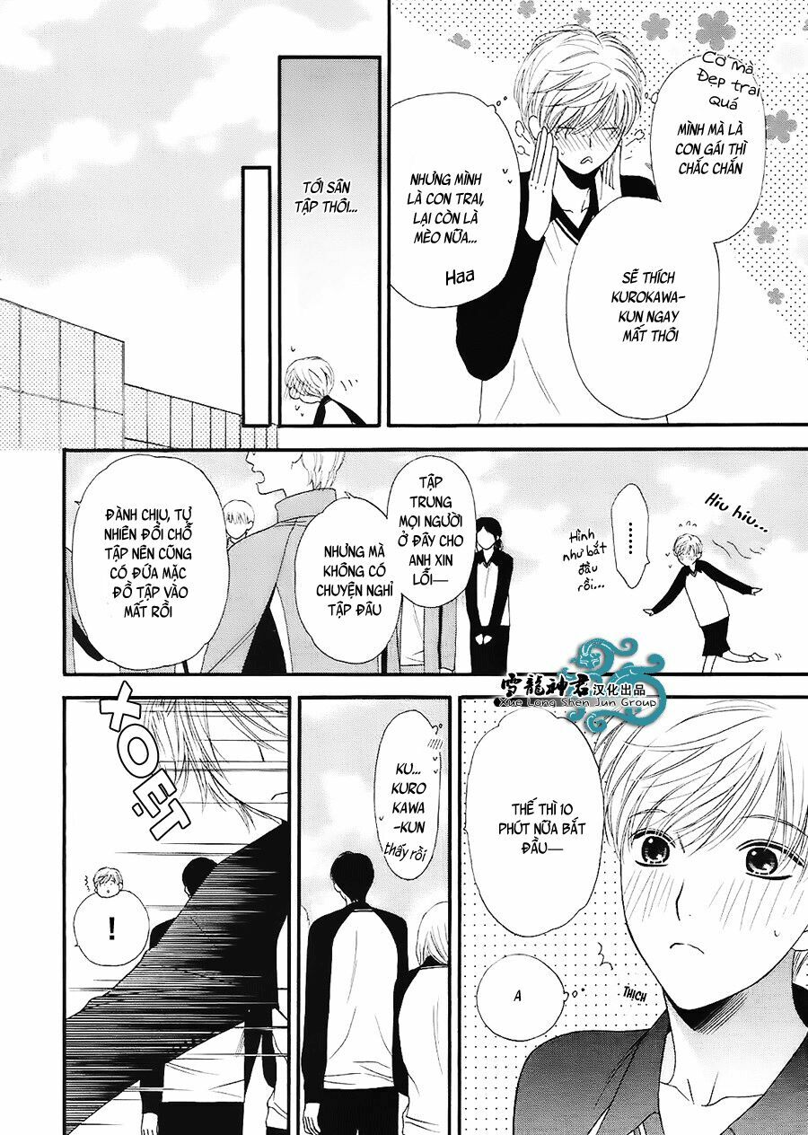 Neko Neko Honey: Chapter 7