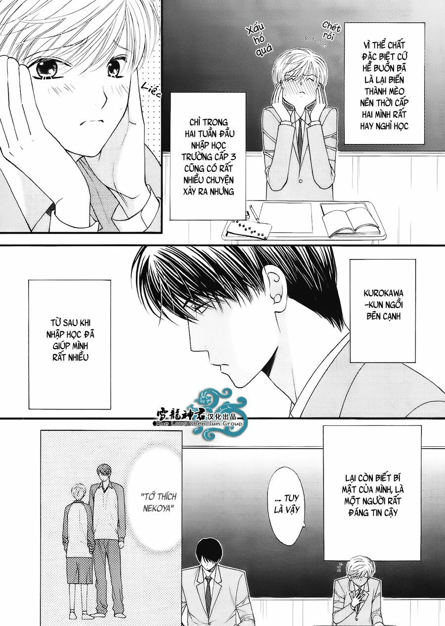 Neko Neko Honey: Chapter 7