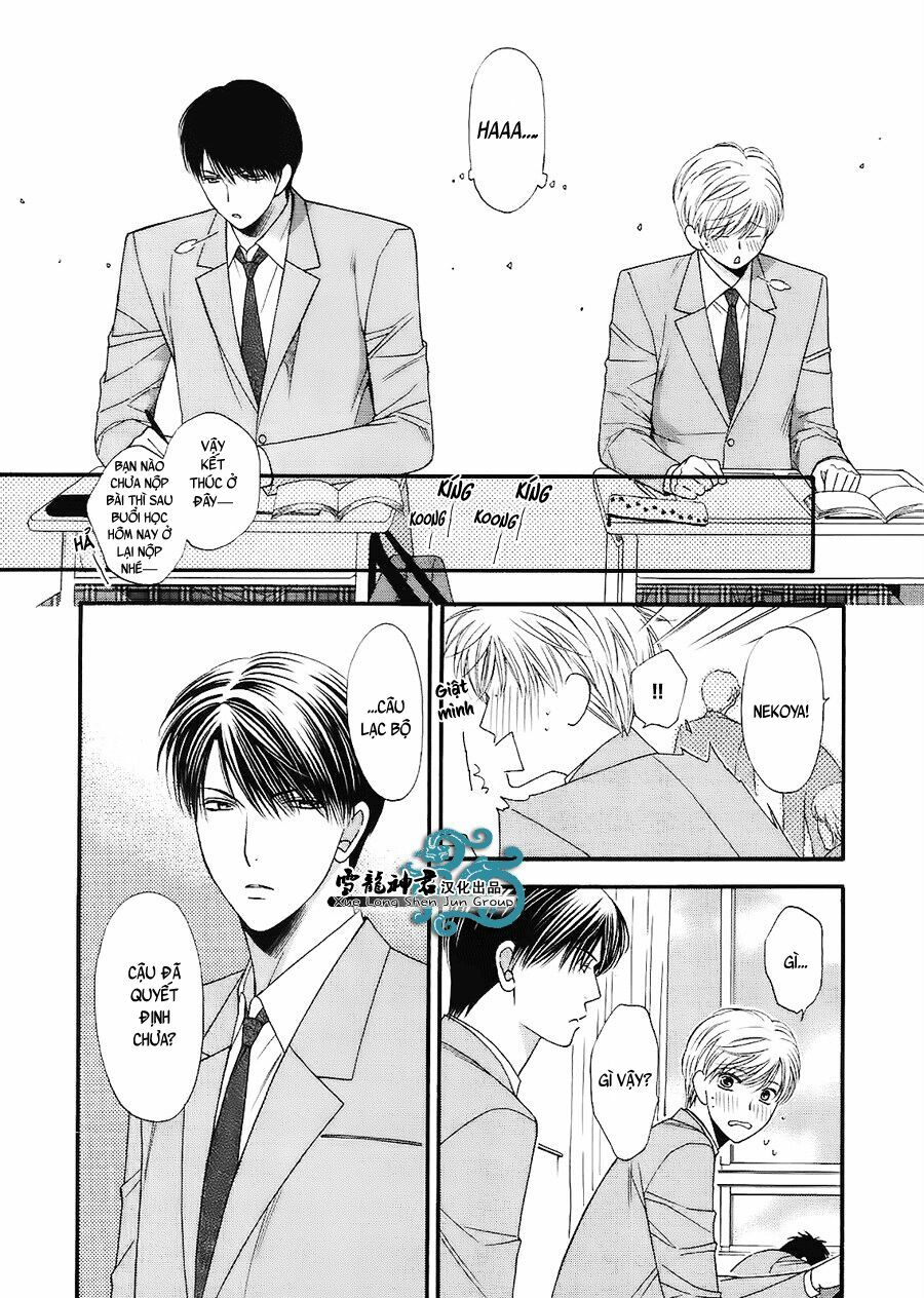 Neko Neko Honey: Chapter 7