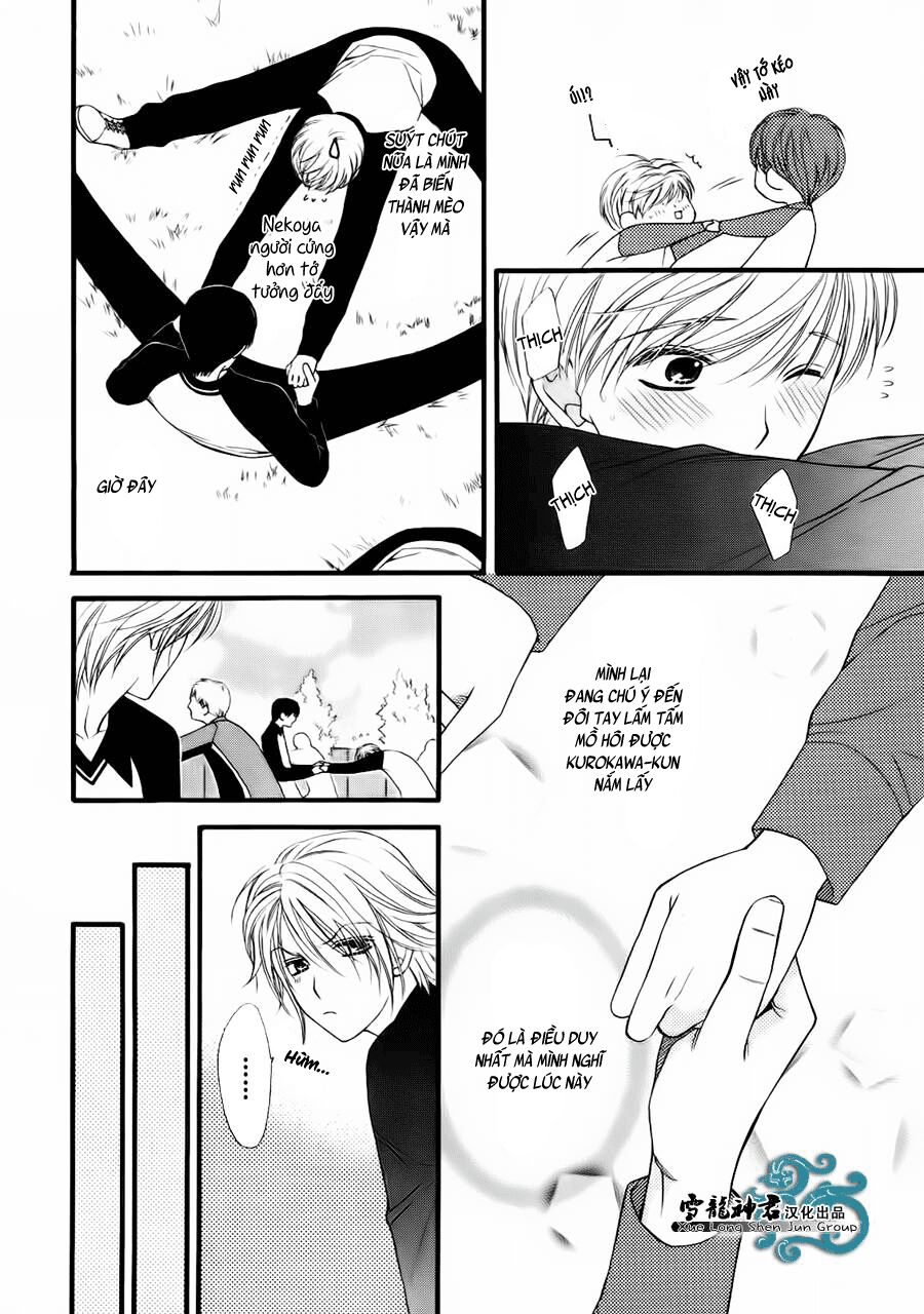 Neko Neko Honey: Chapter 8