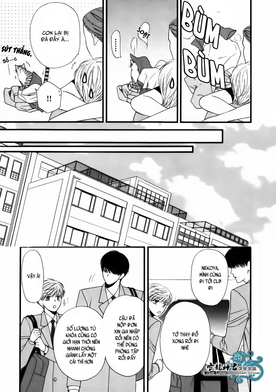 Neko Neko Honey: Chapter 8