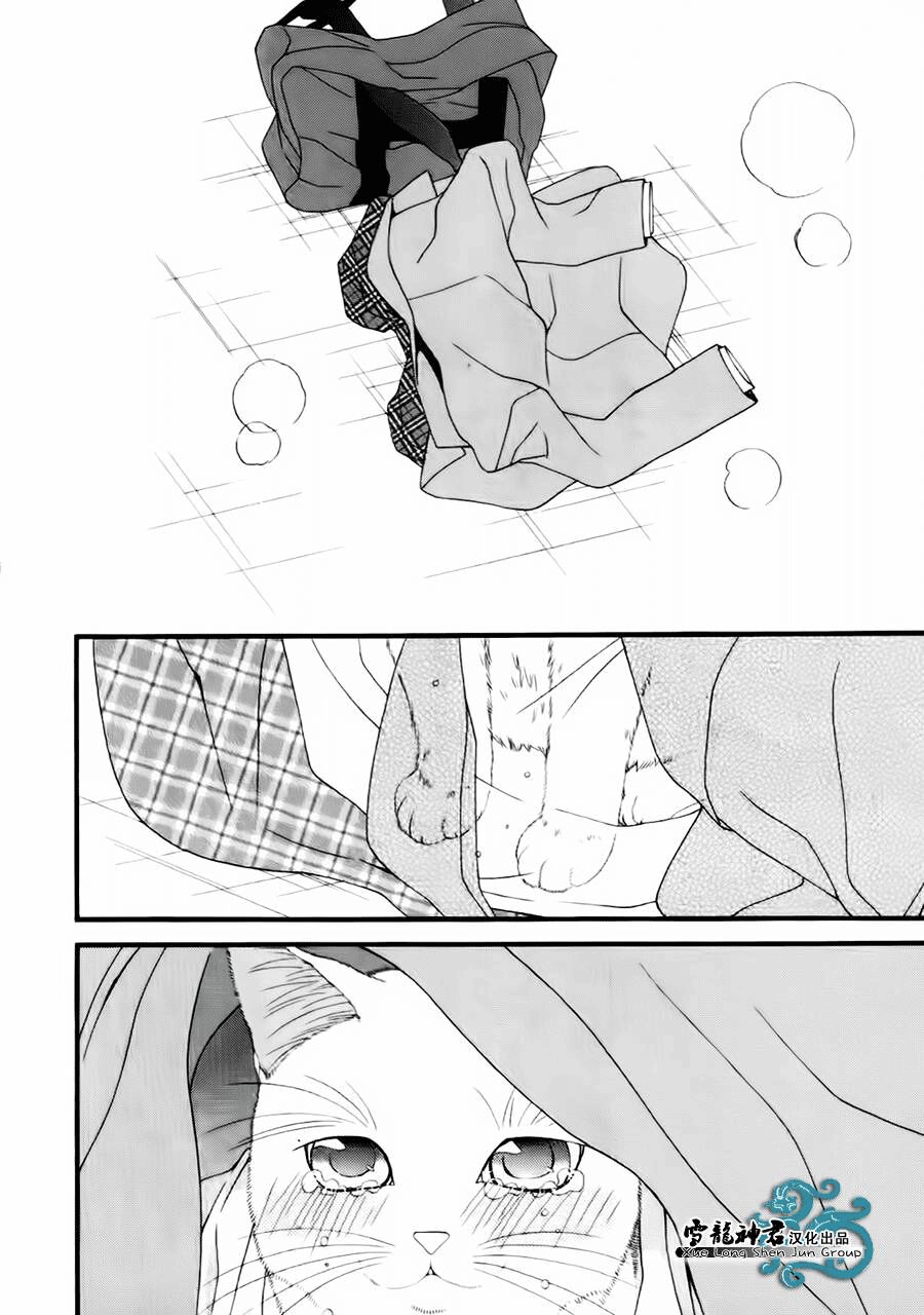 Neko Neko Honey: Chapter 8