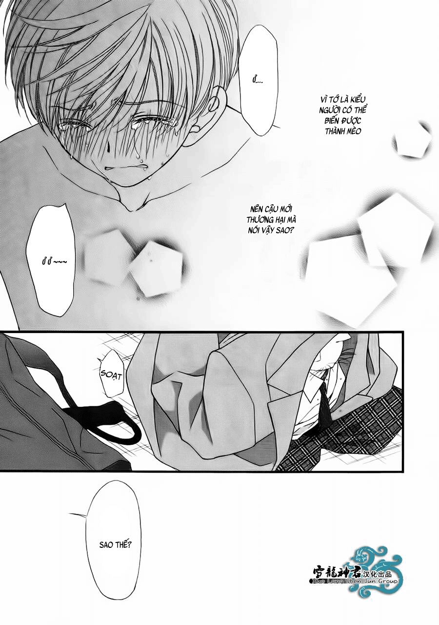 Neko Neko Honey: Chapter 8